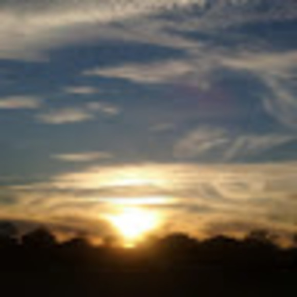 Meet your Posher, Lisa - Picture 1 of 1